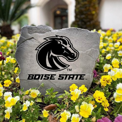 Boise1G2 23f4738c 5550 44eb 8ed1 70c7a15ebf87