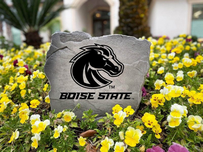 Boise1G2 23f4738c 5550 44eb 8ed1 70c7a15ebf87