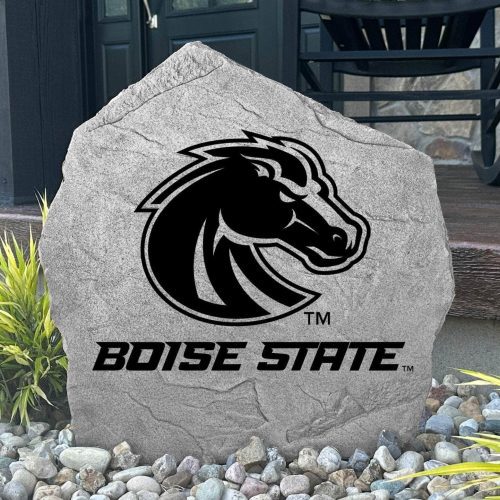 Boise1G 30c1f14a d66d 41e3 9695 91215f732fb9